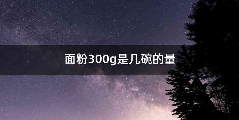 面粉300g是几碗的量