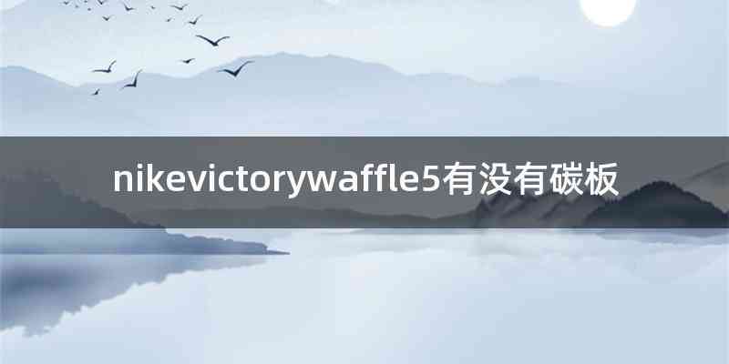 nikevictorywaffle5有没有碳板