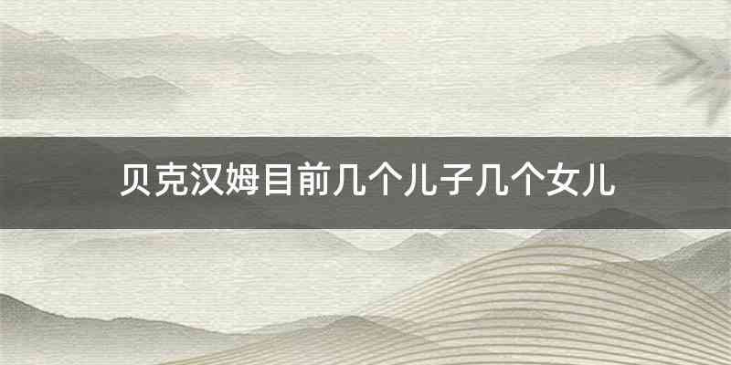 贝克汉姆目前几个儿子几个女儿