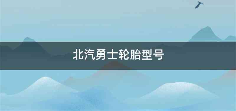 北汽勇士轮胎型号