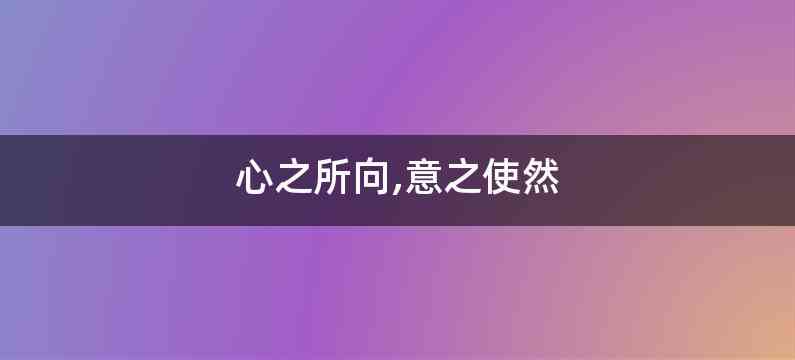 心之所向,意之使然