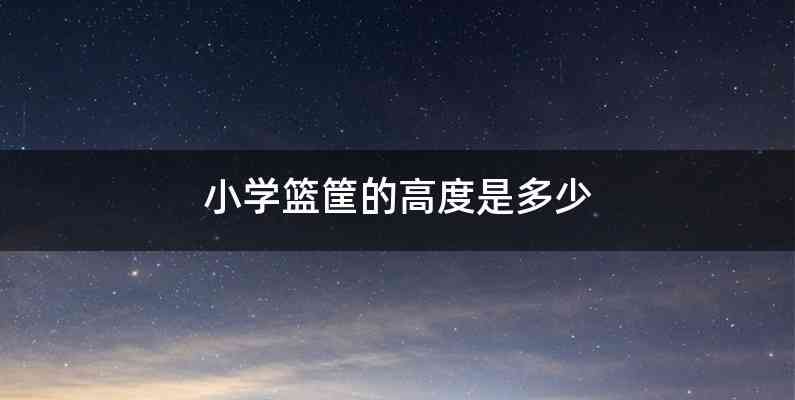 小学篮筐的高度是多少