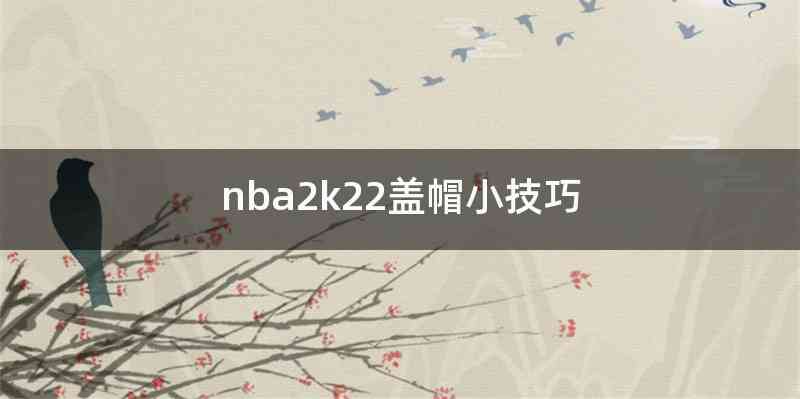 nba2k22盖帽小技巧