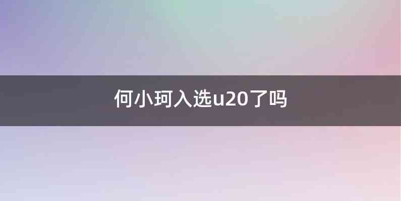 何小珂入选u20了吗