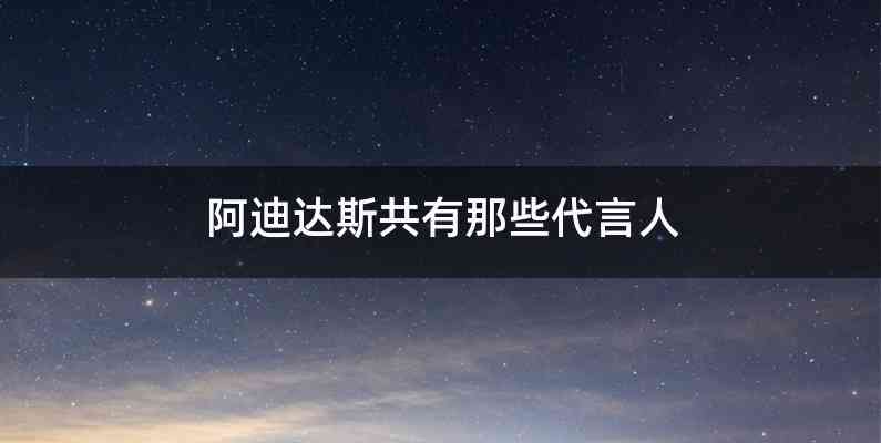 阿迪达斯共有那些代言人