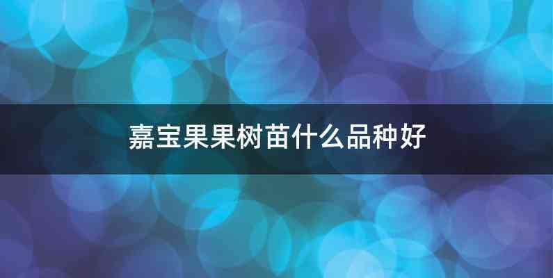 嘉宝果果树苗什么品种好