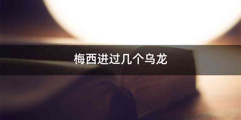 梅西进过几个乌龙