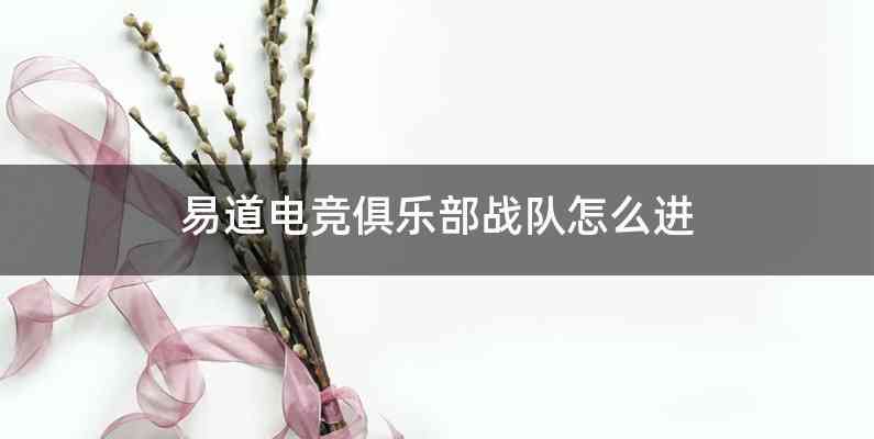 易道电竞俱乐部战队怎么进