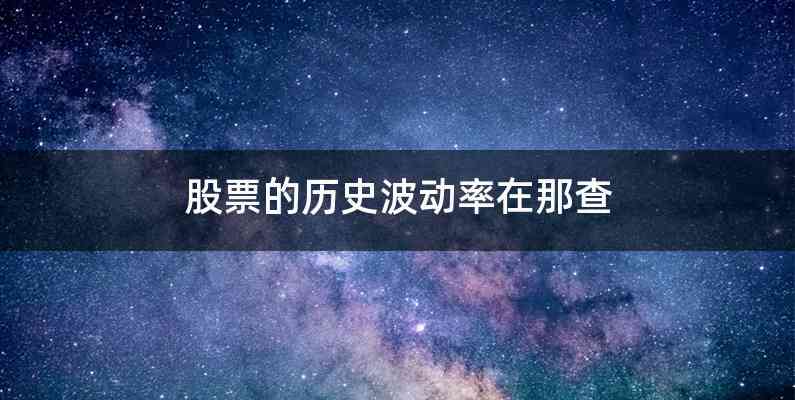 股票的历史波动率在那查