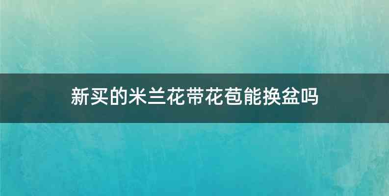 新买的米兰花带花苞能换盆吗