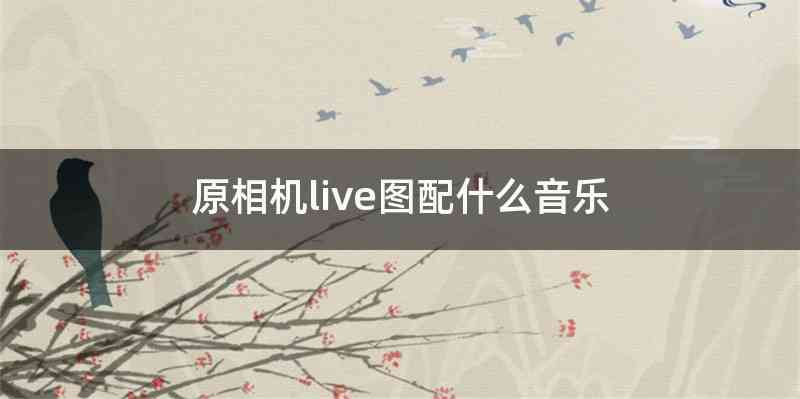 原相机live图配什么音乐