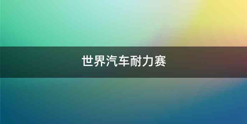 世界汽车耐力赛