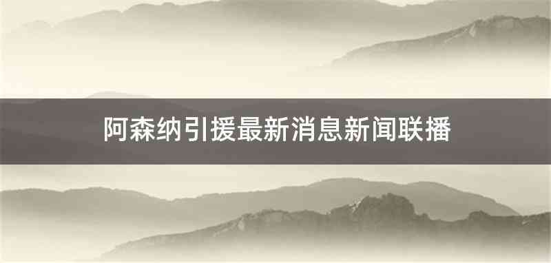 阿森纳引援最新消息新闻联播