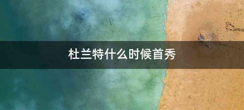 杜兰特什么时候首秀