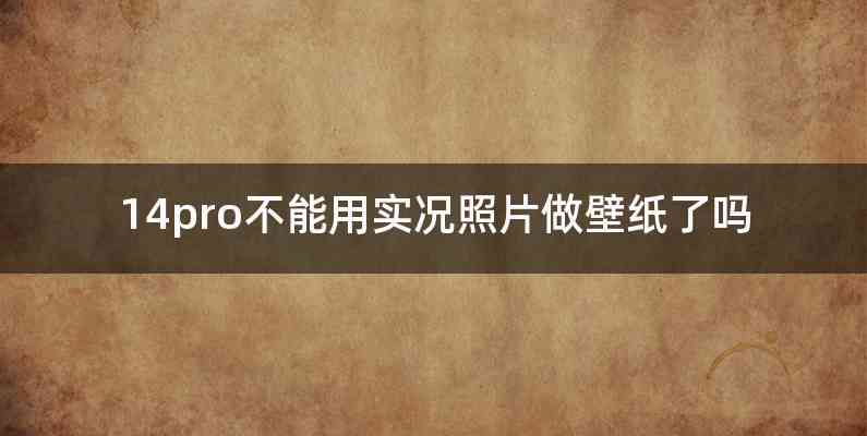 14pro不能用实况照片做壁纸了吗