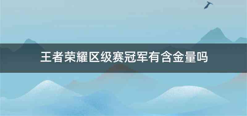 王者荣耀区级赛冠军有含金量吗