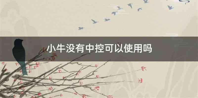 小牛没有中控可以使用吗