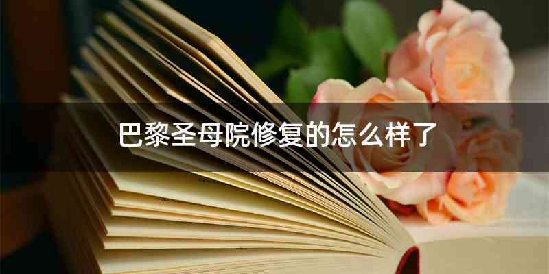 巴黎圣母院修复的怎么样了