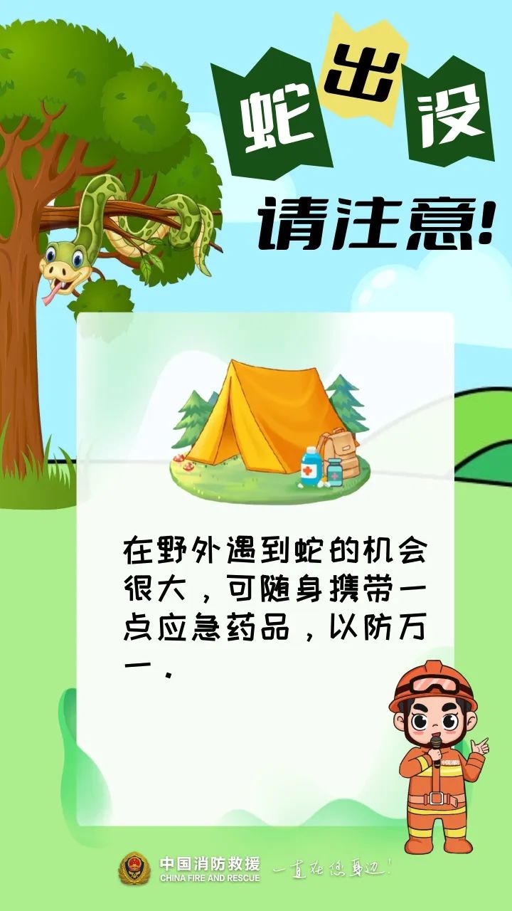 吓人!事发福建一工地!35斤巨蟒惊现,2.5米长…… 吓人!事发福建一工地!35斤巨蟒惊现,2.5米长……