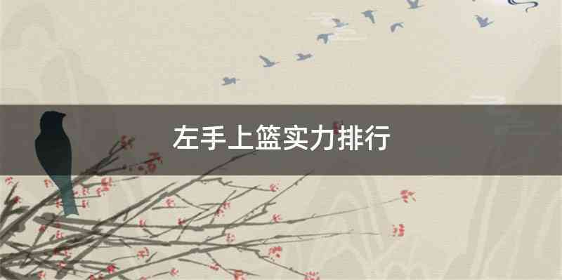 左手上篮实力排行