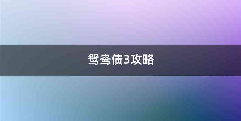 鸳鸯债3攻略