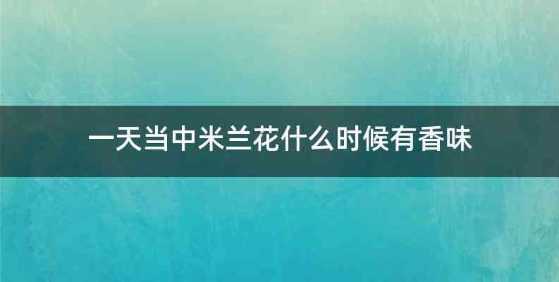 一天当中米兰花什么时候有香味