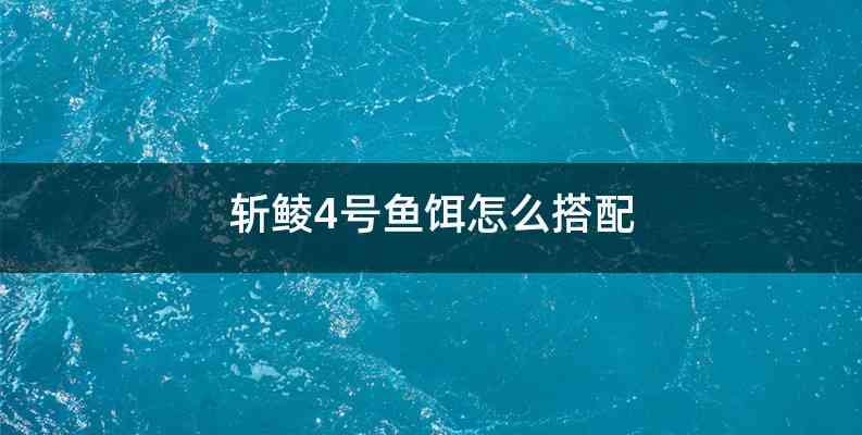 斩鲮4号鱼饵怎么搭配