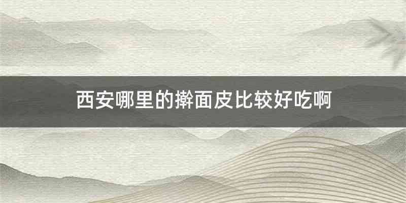 西安哪里的擀面皮比较好吃啊