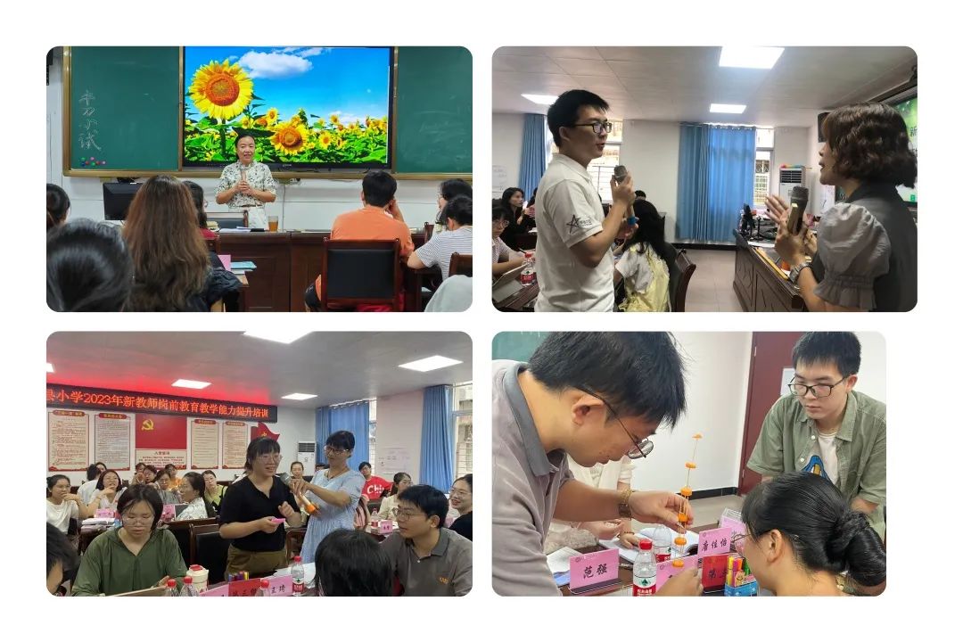 杏坛初绽传薪火 奋楫扬帆谱华章——记2023年顺昌县教师进修学校开展新教师岗前教育教学能力提升培训活动