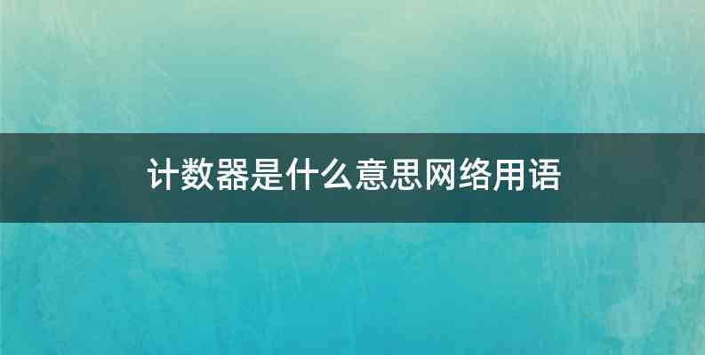 计数器是什么意思网络用语