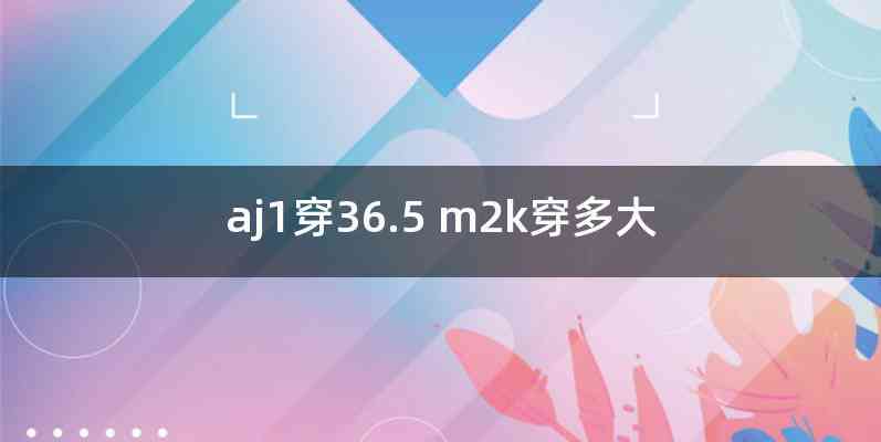 aj1穿36.5 m2k穿多大