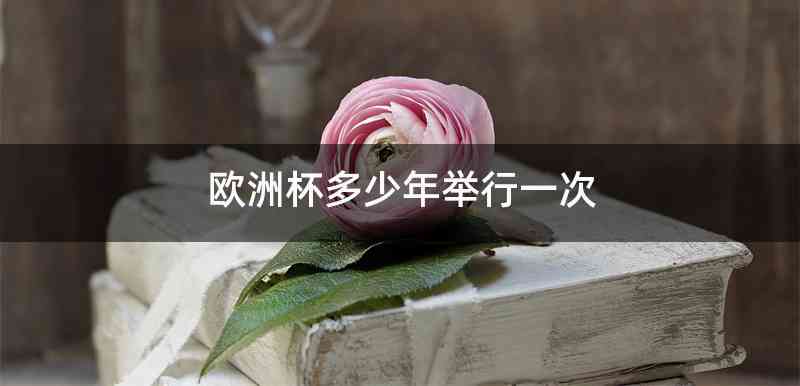 欧洲杯多少年举行一次