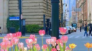 巴黎圣母院感悟100字