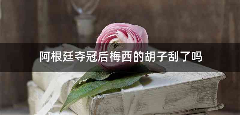 阿根廷夺冠后梅西的胡子刮了吗