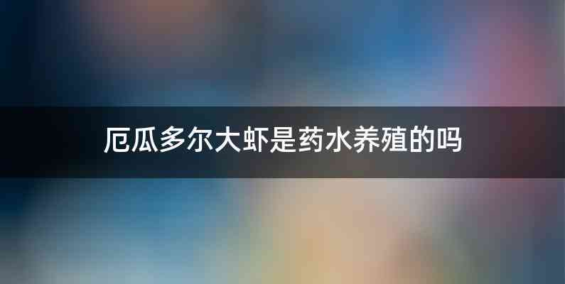厄瓜多尔大虾是药水养殖的吗