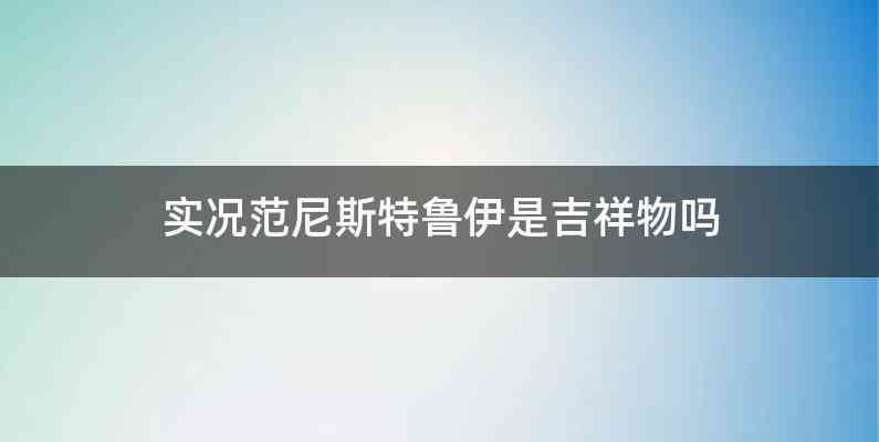 实况范尼斯特鲁伊是吉祥物吗