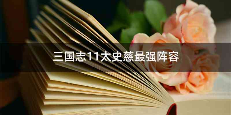 三国志11太史慈最强阵容