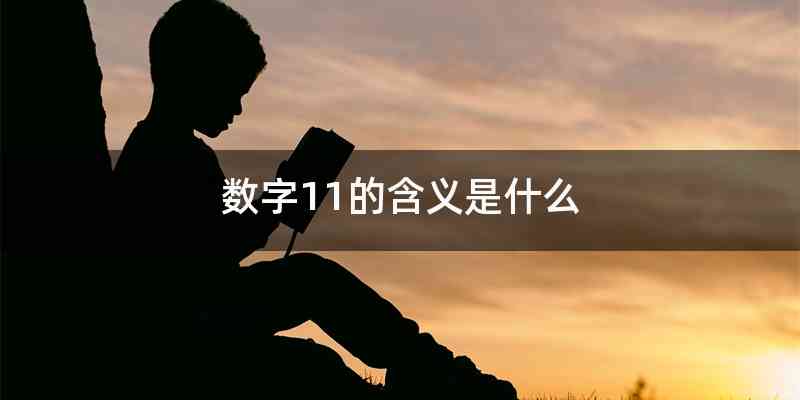 数字11的含义是什么