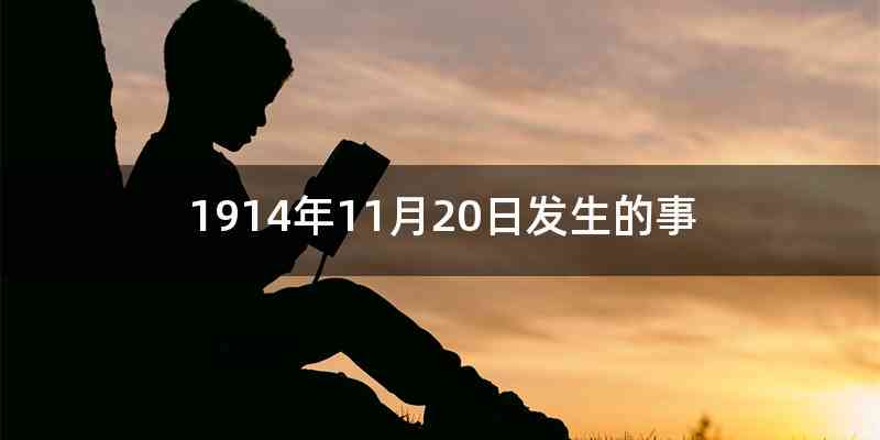 1914年11月20日发生的事