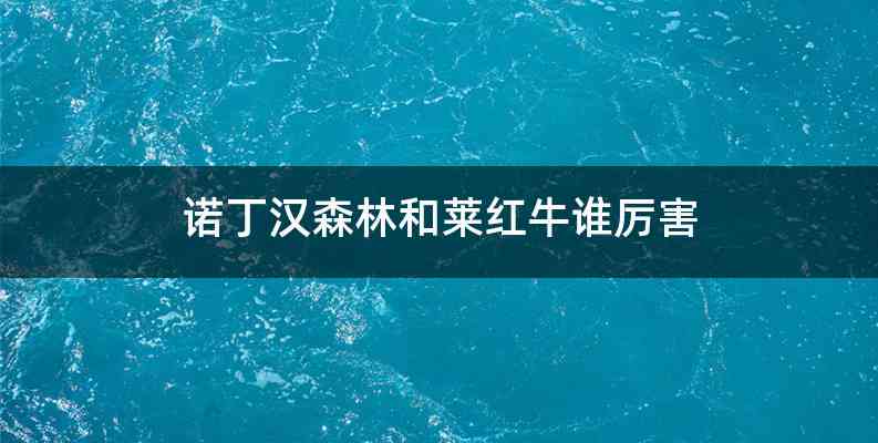 诺丁汉森林和莱红牛谁厉害