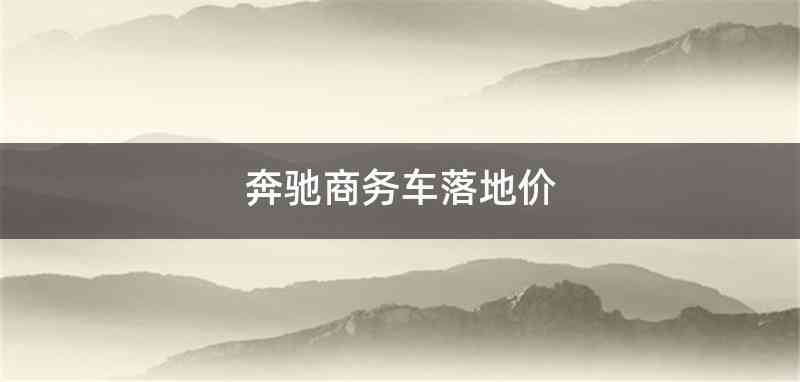 奔驰商务车落地价