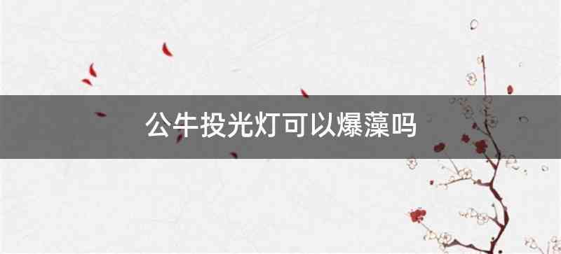 公牛投光灯可以爆藻吗