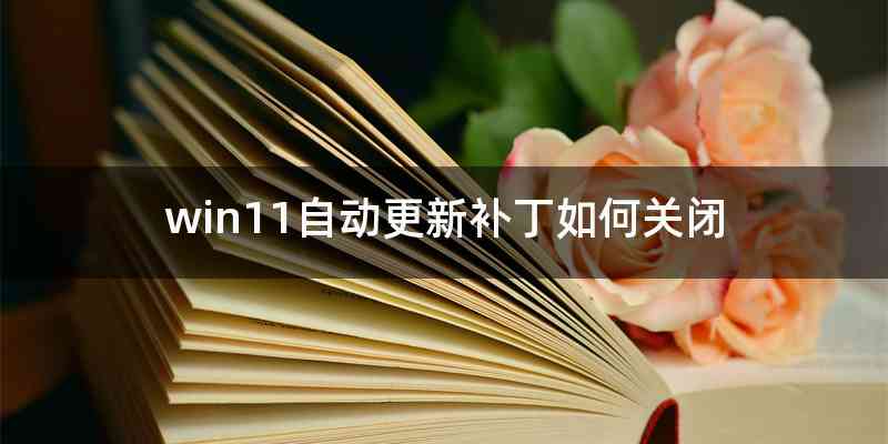 win11自动更新补丁如何关闭