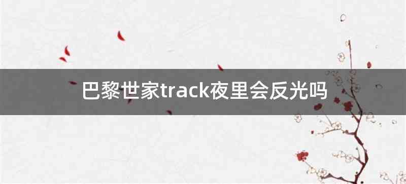 巴黎世家track夜里会反光吗