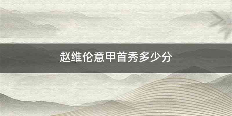 赵维伦意甲首秀多少分