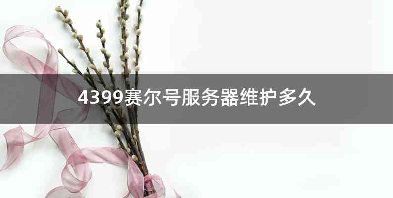 4399赛尔号服务器维护多久