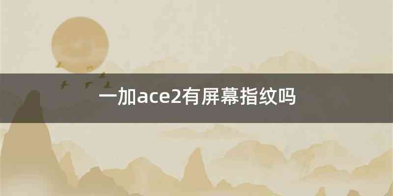 一加ace2有屏幕指纹吗