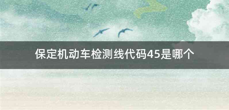 保定机动车检测线代码45是哪个