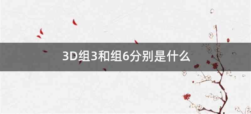3D组3和组6分别是什么