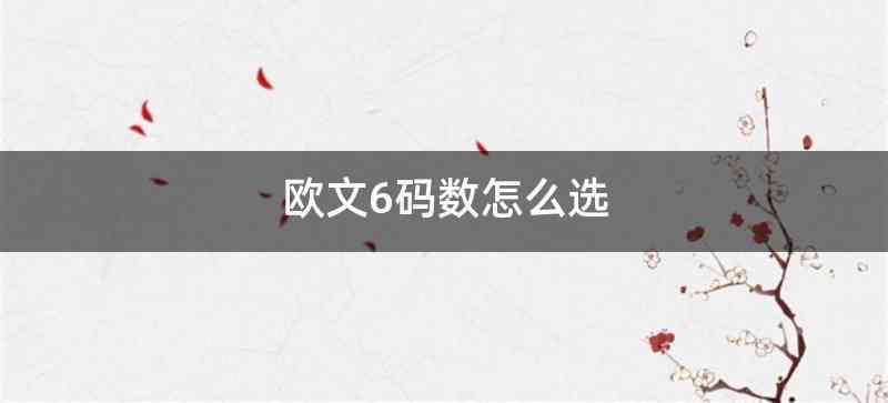 欧文6码数怎么选